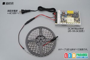 画像3: 24VテープLED 60LED/m 非防水 昼光色 6000K 10m