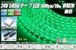 画像1: 24VテープLED 60LED/m 非防水 緑色 10m