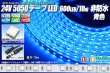 画像1: 24VテープLED 60LED/m 非防水 青色 10m